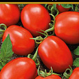 Томат Матадор