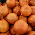 Лук Репчатый Бонус F1