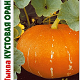 Тыква Кустовая Оранжевая